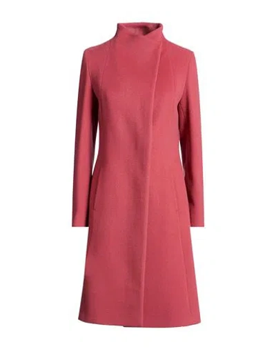 Cinzia Rocca Icons Woman Coat Antique Rose Size 8 Virgin Wool, Cashmere In Pink