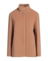 Cinzia Rocca Woman Coat Camel Size 10 Wool, Polyamide, Cashmere In Beige