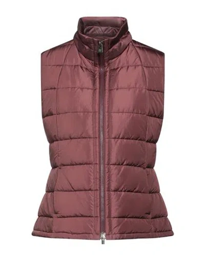 Cinzia Rocca Woman Vest Chocolate Brown Size 6 Polyamide In Burgundy