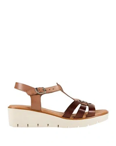 Cinzia Soft Woman Sandals Brown Size 8 Leather