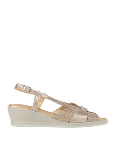 Cinzia Soft Woman Sandals Gold Size 8 Leather