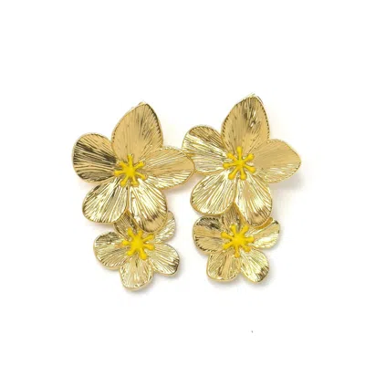 Cioccolato Couture Women's Gold Valencia Earring