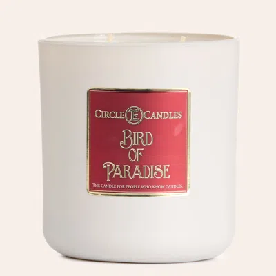 Circle E Birds Of Paradise 14 oz Candle In White