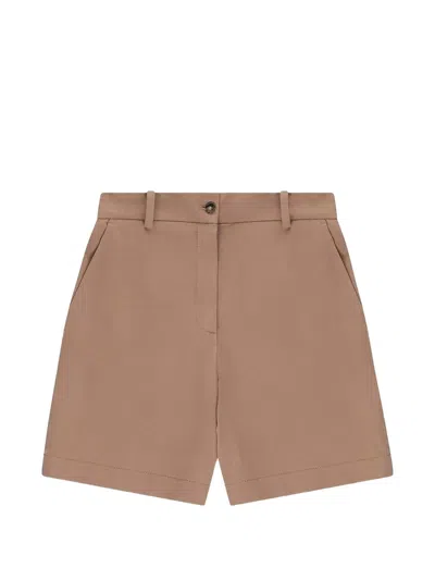 Circolo 1901 Belt-loop Shorts In Brown