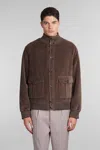 CIRCOLO 1901 BOMBER IN BROWN COTTON