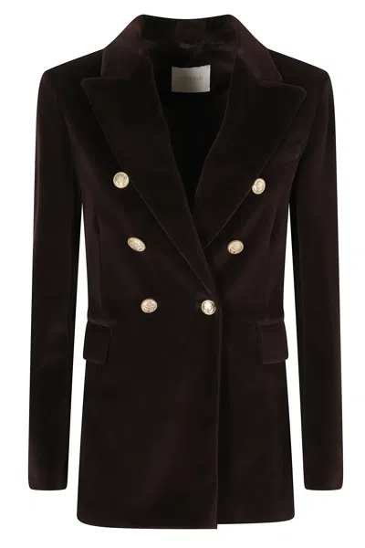 Circolo 1901 Brown Double-breasted Velvet Gold Button Jacket In Black