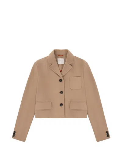 Circolo 1901 Buttoned Jacket In Brown