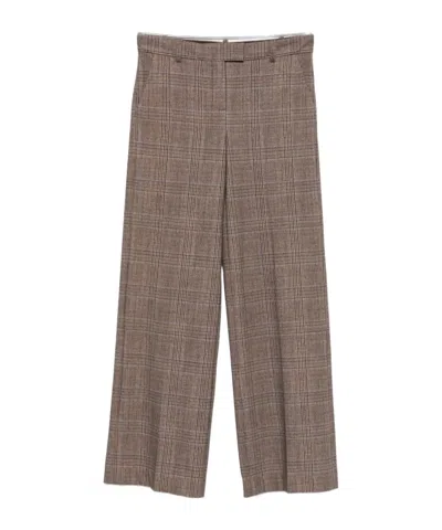 Circolo 1901 Casual Trousers With Belt Loops In Brown