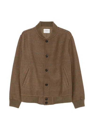 Circolo 1901 Checked Bomber Jacket In Brown