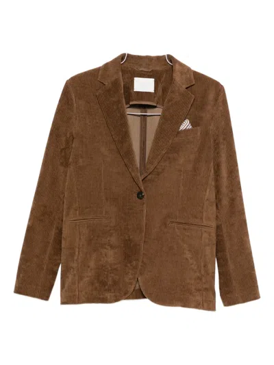 Circolo 1901 Sakko Aus Cord In Brown