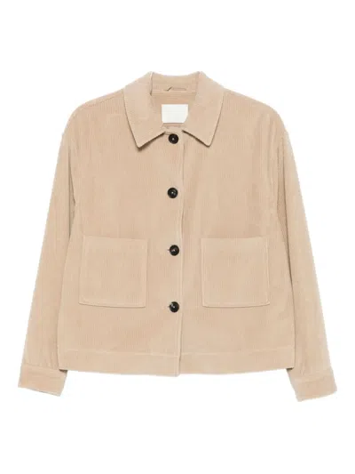 Circolo 1901 Corduroy Jacket In Brown