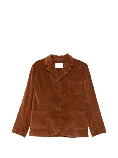 Circolo 1901 Corduroy Single-breasted Blazer In Brown