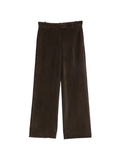 Circolo 1901 Corduroy Trousers In Brown