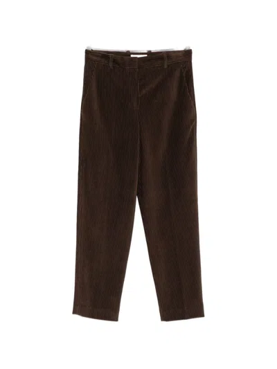 Circolo 1901 Cotton Carrot Trousers In Brown