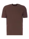 Circolo 1901 Crew-neck Short-sleeve T-shirt In Brown