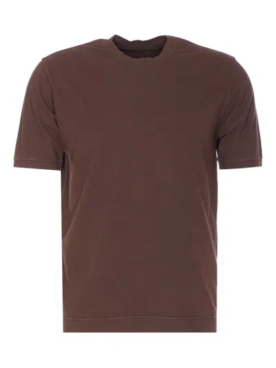 Circolo 1901 Crew-neck Short-sleeve T-shirt In Brown