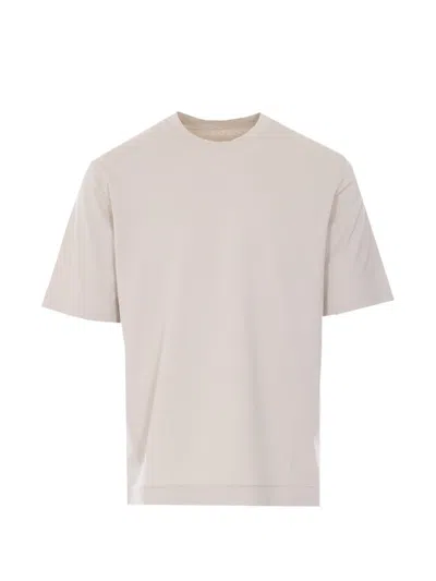 Circolo 1901 Crewneck T-shirt In Brown