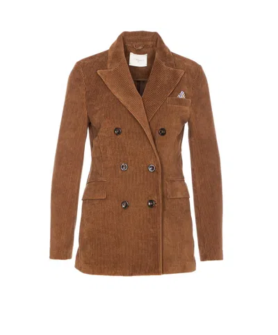 Circolo 1901 Velvet Jacket Double-breasted Chest Pocket In Brown