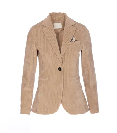 Circolo 1901 Bordeaux V-neck Jacket Notched Lapel In Brown