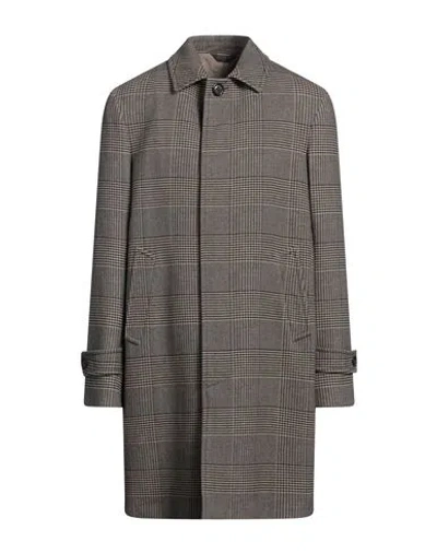 Circolo 1901 Man Coat Beige Size 42 Cotton, Elastane