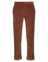 Circolo 1901 Man Pants Brown Size 32 Cotton, Polyester In Brown
