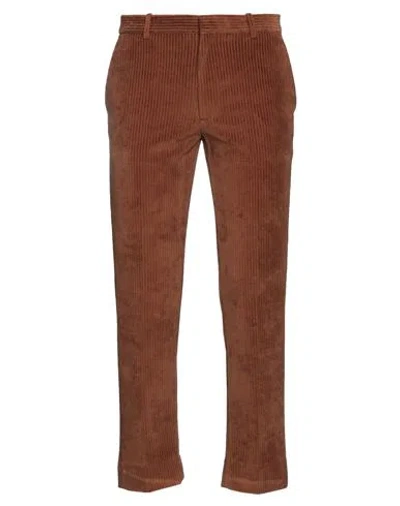 Circolo 1901 Man Pants Brown Size 32 Cotton, Polyester
