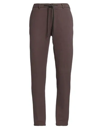 Circolo 1901 Man Pants Brown Size 40 Cotton, Elastane