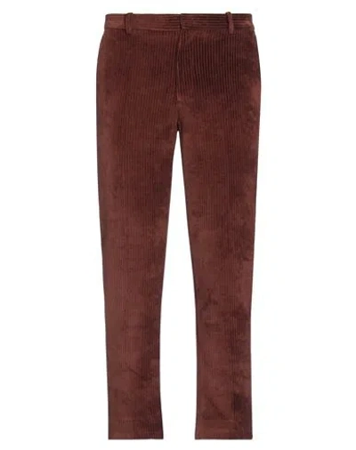 Circolo 1901 Man Pants Chocolate Brown Size 34 Cotton, Polyester