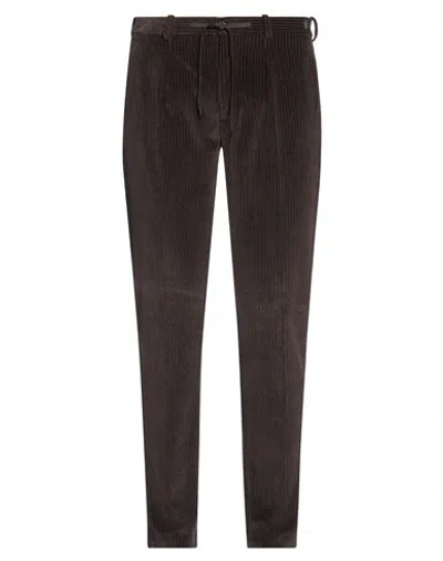 Circolo 1901 Man Pants Dark Brown Size 36 Cotton, Polyester