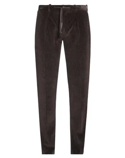 Circolo 1901 Man Pants Dark Brown Size 34 Cotton, Polyester In Brown