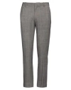 Circolo 1901 Man Pants Grey Size 32 Cotton, Elastane In Grey