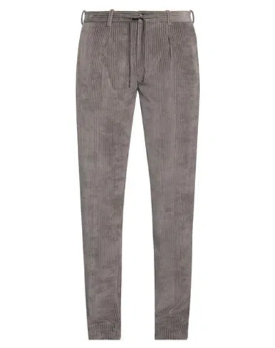 Circolo 1901 Man Pants Grey Size 34 Cotton, Polyester