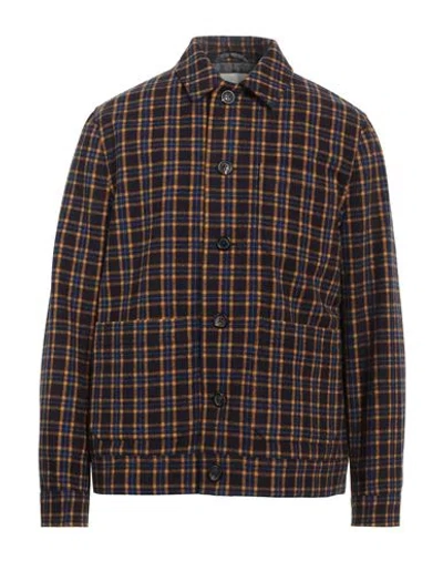 Circolo 1901 Man Shirt Dark Brown Size L Virgin Wool