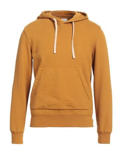 Circolo 1901 Man Sweatshirt Mustard Size S Cotton In Yellow