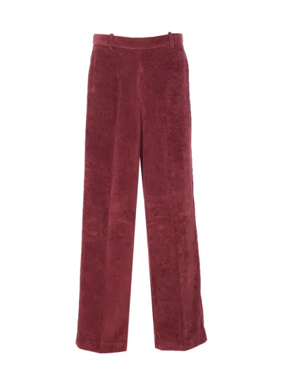 Circolo 1901 Pants In Burgundy
