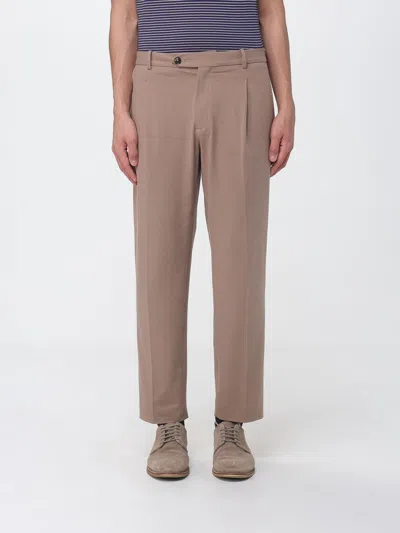Circolo 1901 Pants Men  In Brown