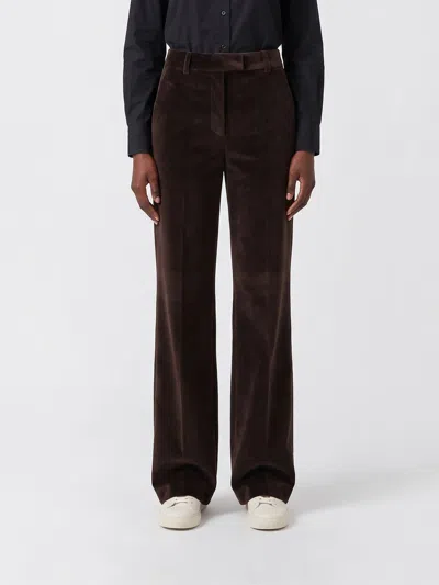 Circolo 1901 Pants Woman In Brown