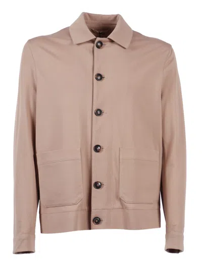 Circolo 1901 Shirt J. Premium P. In Brown