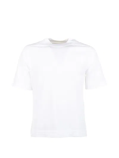 Circolo 1901 Shorts-sleeves T-shirt In White