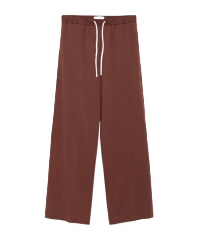 Circolo 1901 Straight-leg Track Pants In Chocolate Brown