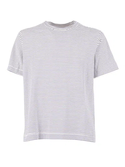 Circolo 1901 T Shirt Cotton In White