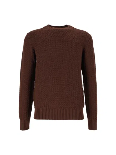 Circolo 1901 Textured Short Crewneck Wool Sweater In Brown