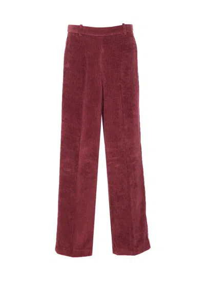 Circolo 1901 High Waist Flared Corduroy Trousers In Burgundy