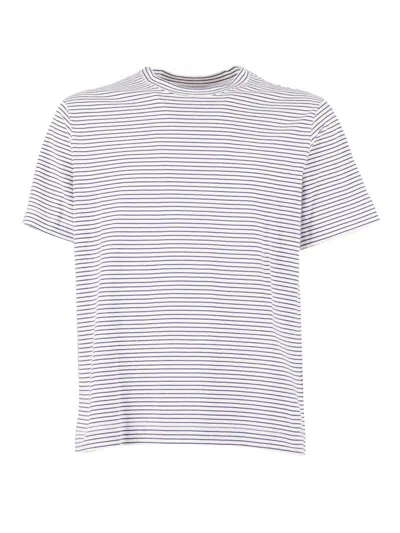Circolo 1901 T-shirt Cotton In White