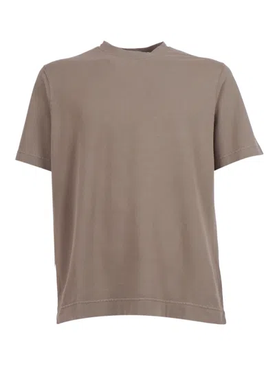 Circolo 1901 T-shirt G.dyed P. In Brown