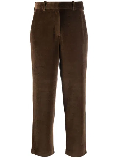 Circolo 1901 Velour Chino Trousers In Brown