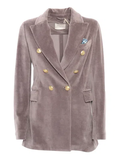 Circolo 1901 Jacket In Silver