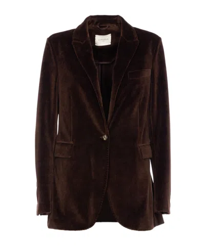 Circolo 1901 Velvet Single-breasted Jacket In Brown