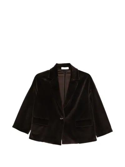 Circolo 1901 Velvet Single-breasted Jacket In Brown