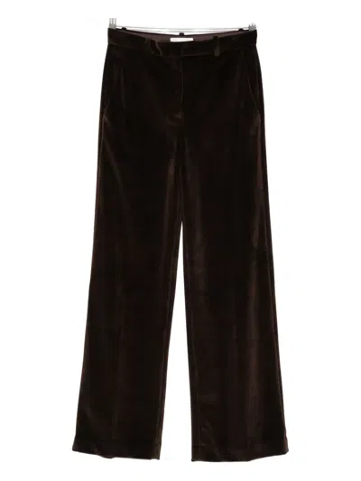 Circolo 1901 Velvet Trousers In Brown